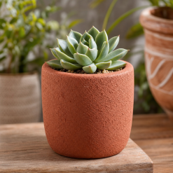 Textured Terracotta Planter