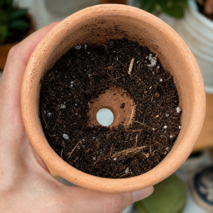 hand-thrown ceramic planter with drainage hole